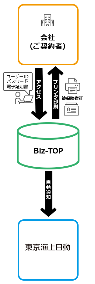 ご契約者である会社のお客さまがインターネットでBiz-TOPへアクセスし、ユーザーID、パスワード、電子証明書などの渡航者情報をご入力いただくと、被保険者証が印刷でき、東京海上日動へ自動的に通知されます